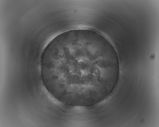 X0000112360835200908201501