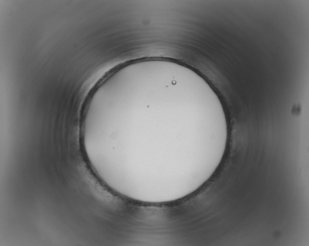 X0000112360836200908201501