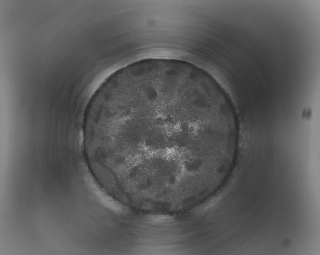 X0000112360837200908201501