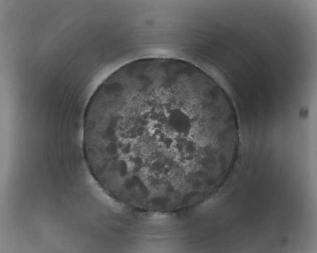 X0000112360839200908201501