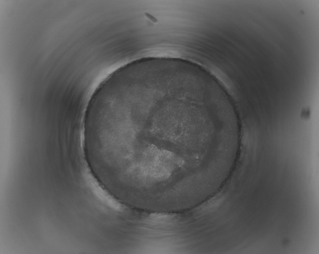 X0000112360840200908201501