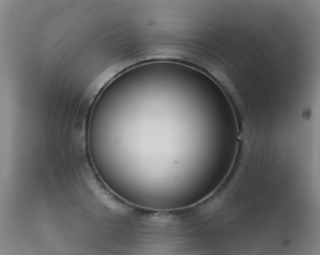 X0000112360842200908201501