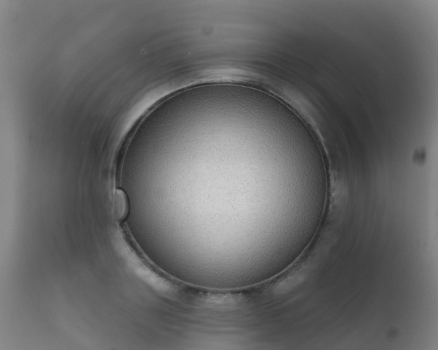 X0000112360843200908201501