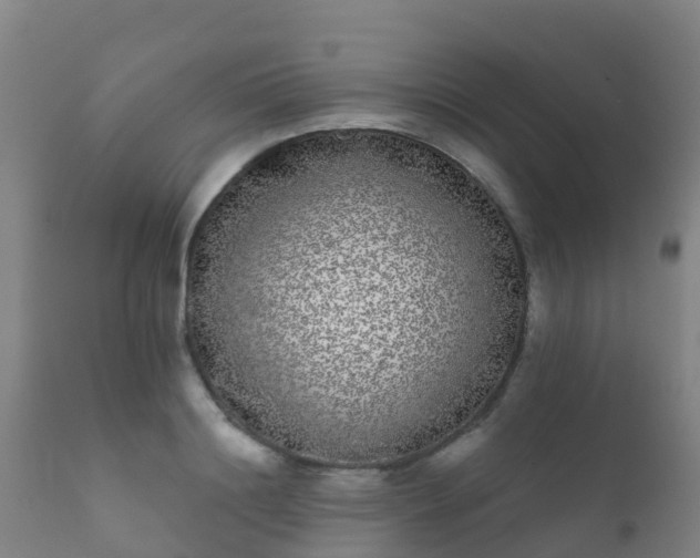 X0000112360844200908201501