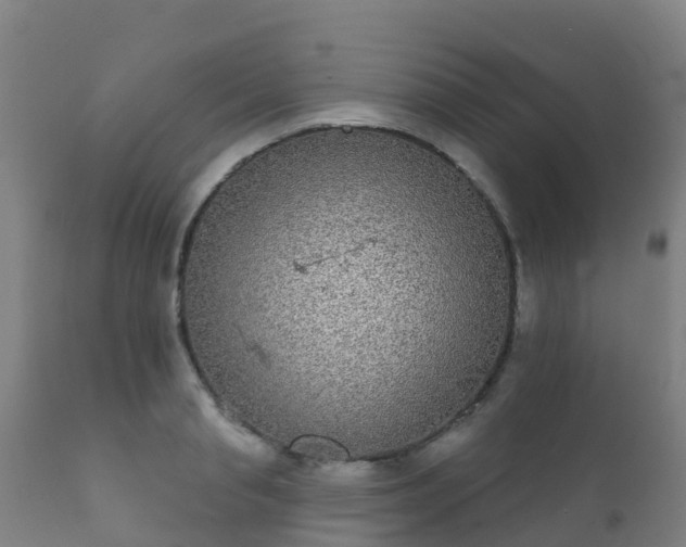 X0000112360845200908201501