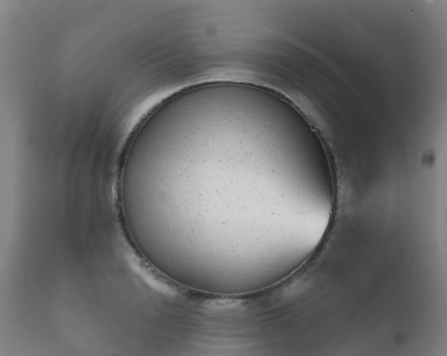 X0000112360846200908201501