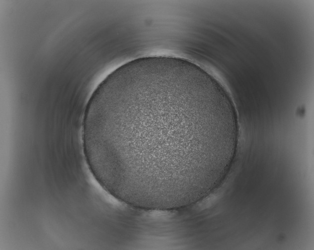 X0000112360847200908201501