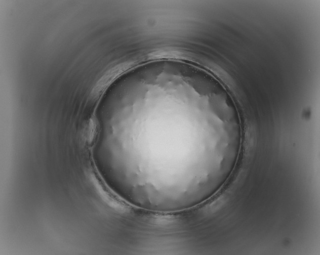 X0000112360849200908201501