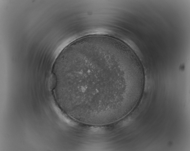 X0000112360850200908201501