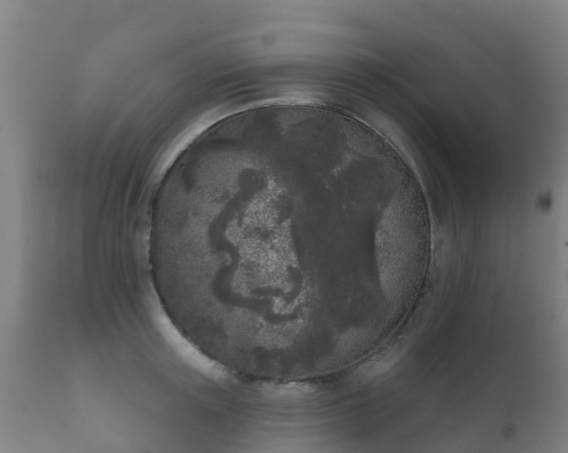 X0000112360851200908201501