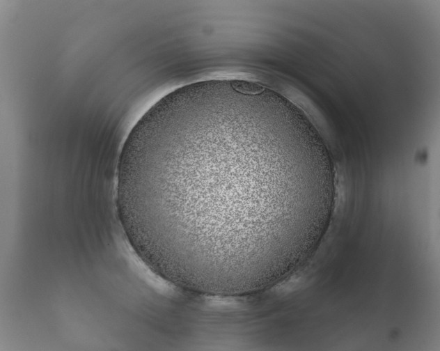 X0000112360852200908201501