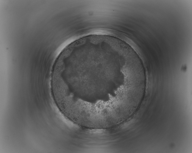 X0000112360853200908201501