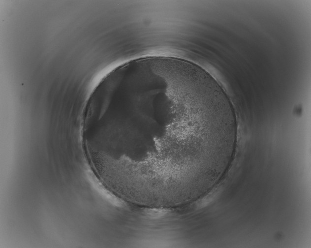 X0000112360854200908201501