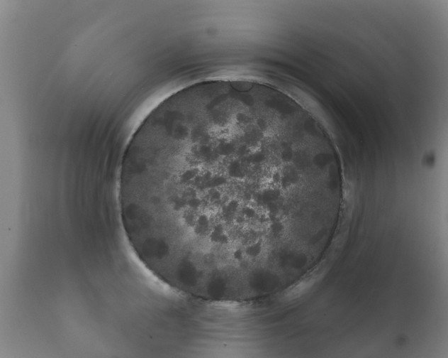 X0000112360855200908201501