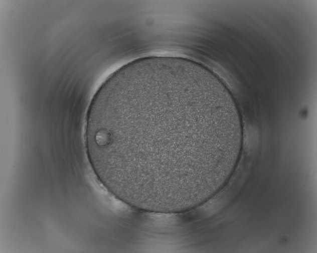 X0000112360856200908201501