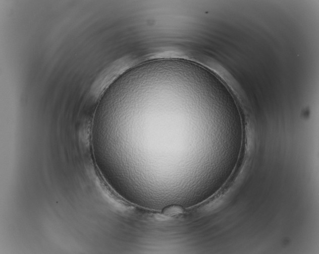 X0000112360857200908201501