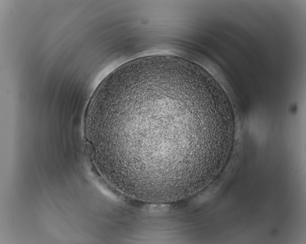 X0000112360858200908201501