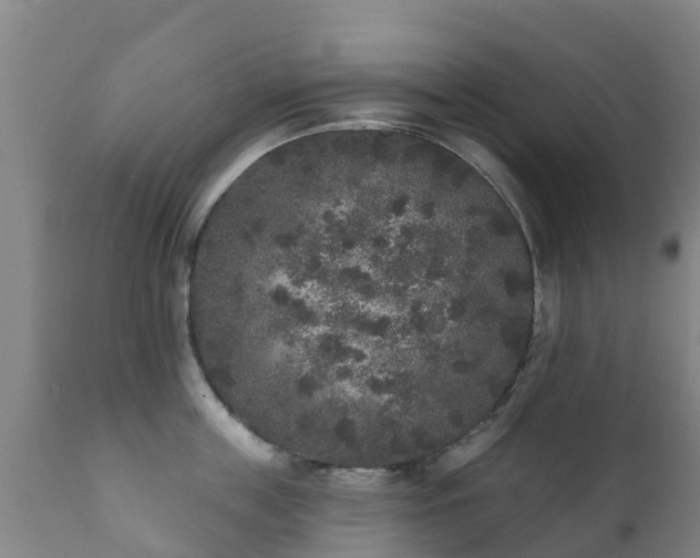 X0000112360859200908201501