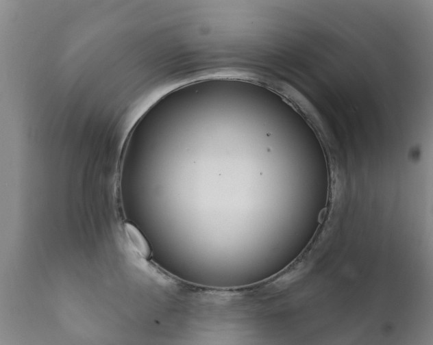 X0000112360860200908201501