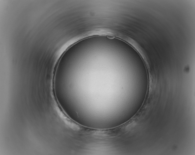 X0000112360861200908201501