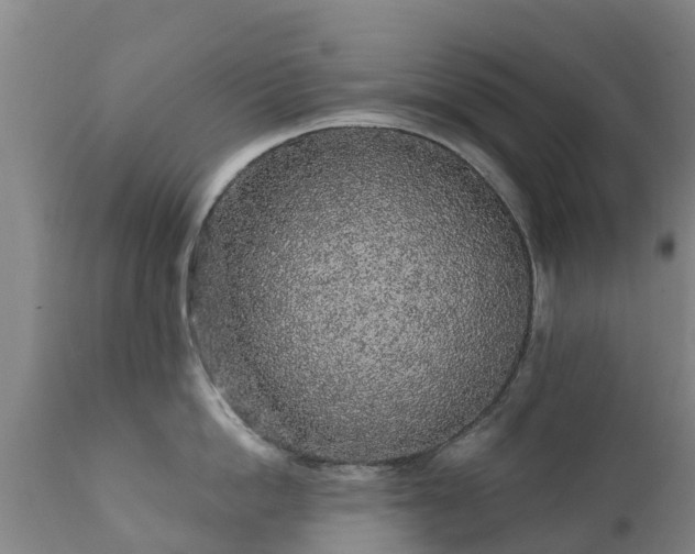 X0000112360862200908201501