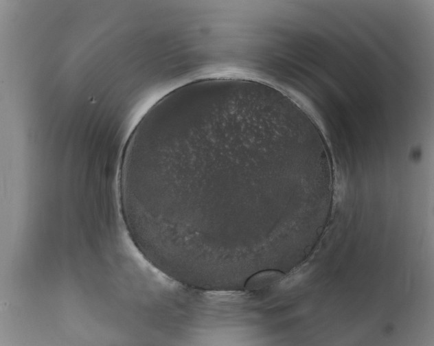 X0000112360863200908201501