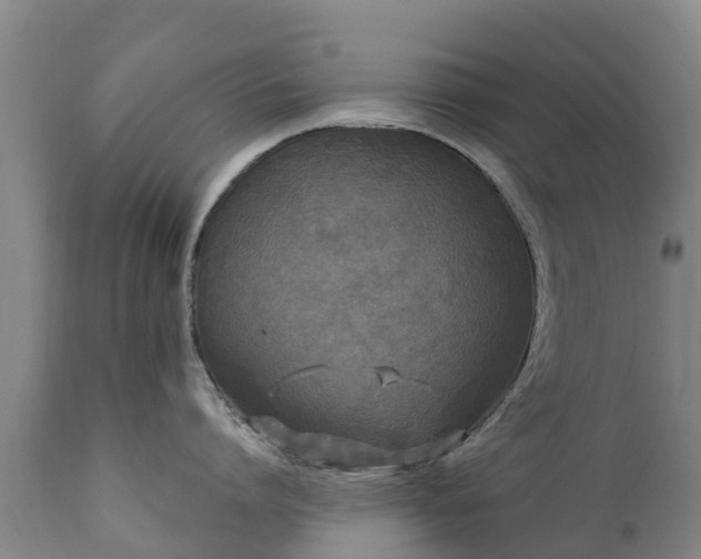 X0000112360864200908201501