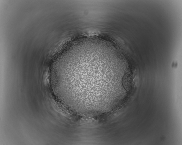 X0000112360866200908201500