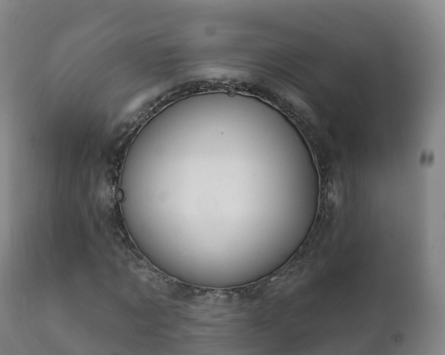 X0000112360869200908201500