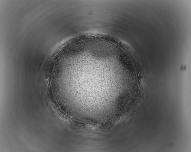 X0000112360870200908201500