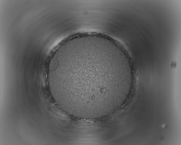 X0000112360871200908201500