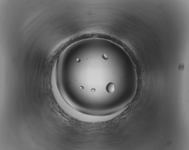 X0000112360872200908201500