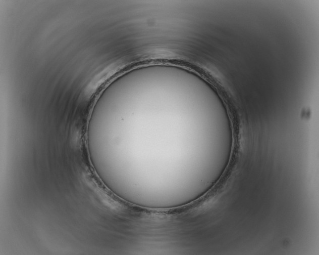 X0000112360873200908201500