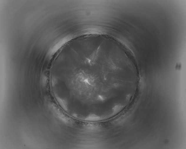 X0000112360874200908201500