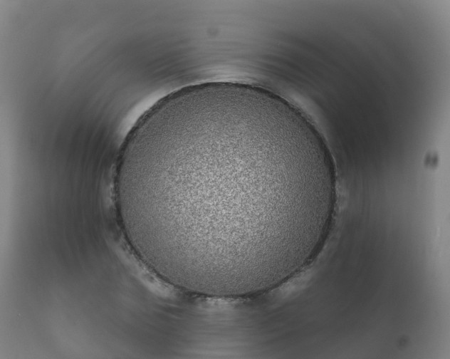 X0000112360875200908201500