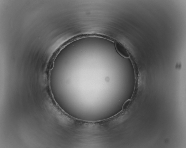 X0000112360876200908201500