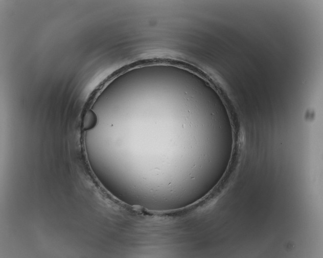 X0000112360877200908201500