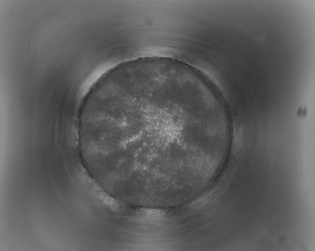 X0000112360878200908201500