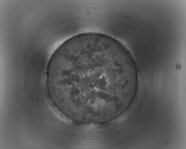 X0000112360879200908201500