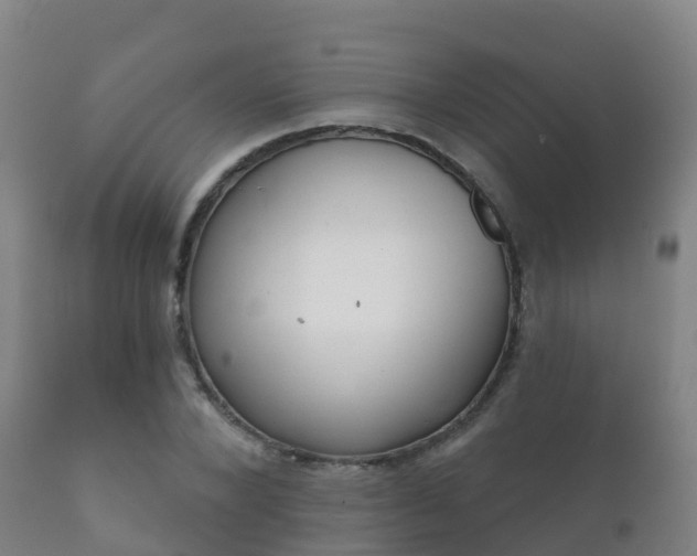 X0000112360880200908201500