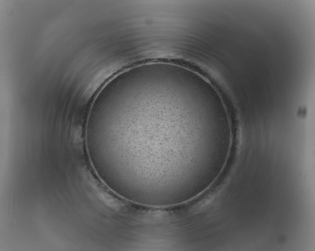 X0000112360881200908201500