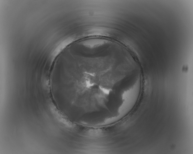 X0000112360882200908201500