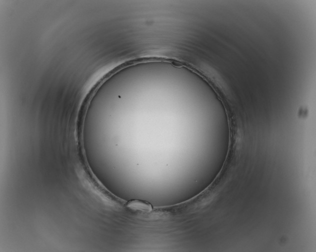 X0000112360884200908201500