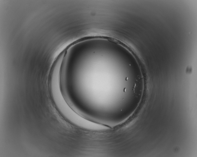 X0000112360885200908201500