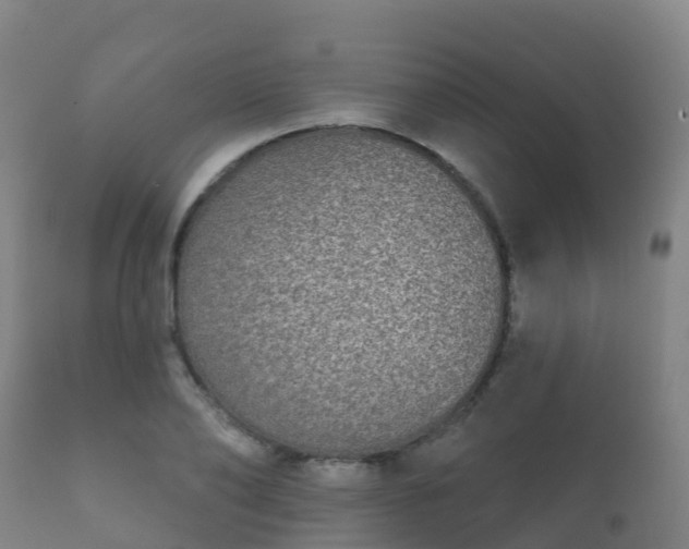 X0000112360886200908201500