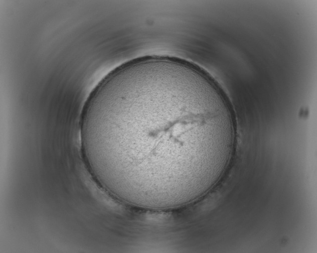 X0000112360887200908201500