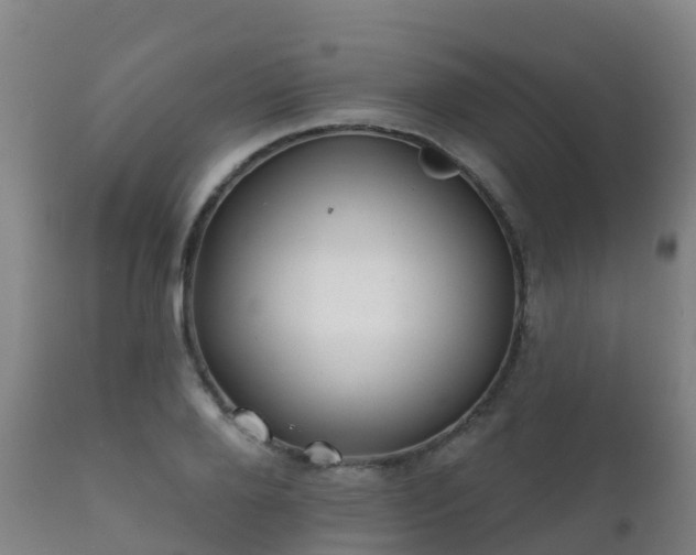 X0000112360888200908201500