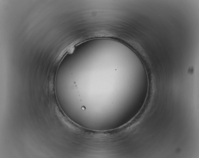 X0000112360889200908201500