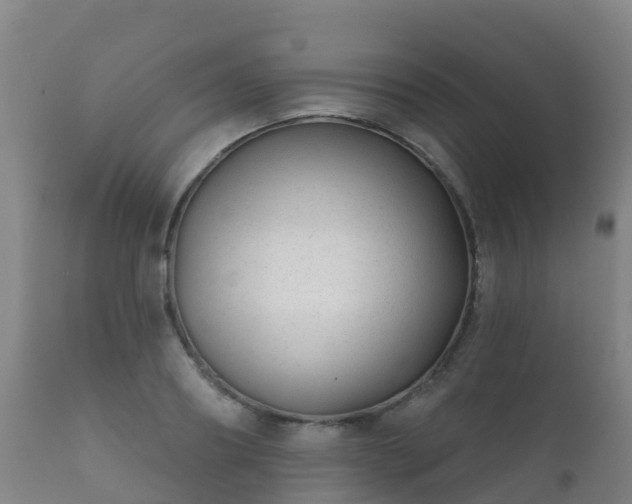 X0000112360890200908201500