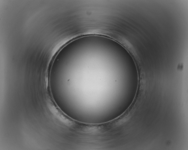 X0000112360892200908201500